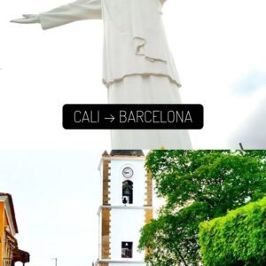 Pasaje en bus con boleto digital qr cali a barcelona