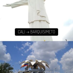 Pasaje en bus con boleto digital qr cali a barquisimeto -