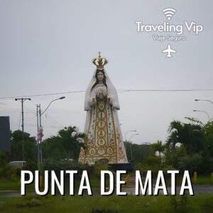Pasaje en bus boleto digital qr desde BARCELONA a PUNTA DE MATA travelingvip365.com