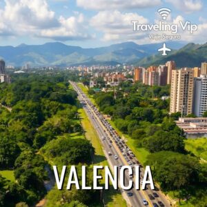 Pasaje en bus boleto digital qr desde BARCELONA a VALENCIA travelingvip365.com